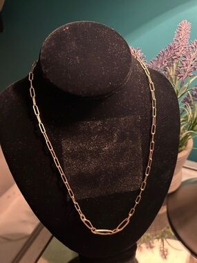 Kendra Scott Gold Paperclip Chain Necklace